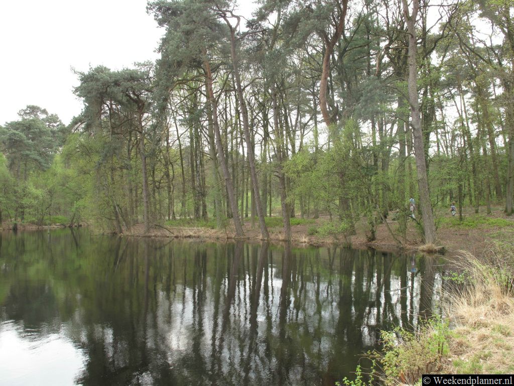 Een ven bij Oisterwijk. Tip: Picknicken bij het ven.